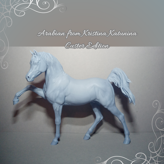 Araber von Kristina Katunina als 3D Druck