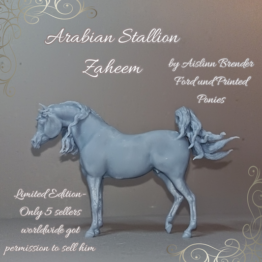 Arabian stallion "Zaheem" by Aislinn Brender Ford and PrintedPonies / Limited quantities + certificate