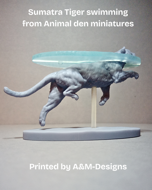 Swimming sumatra Tiger Animal den Miniatures as 3D print
