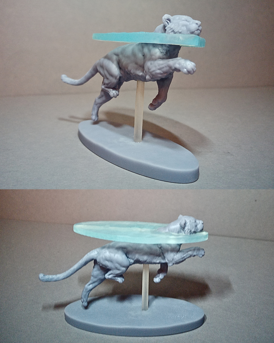 Tigre de Sumatra nageant par Animal den miniatures