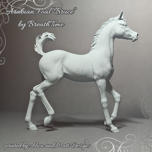 Running foal Bruce by Breathtime