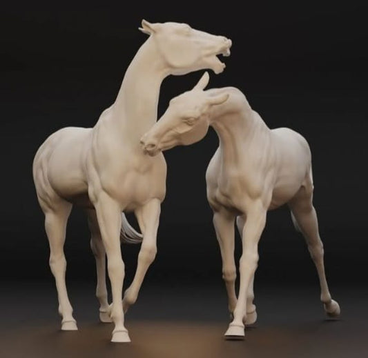 Model Horsepair with male and female horse achal tekkiner