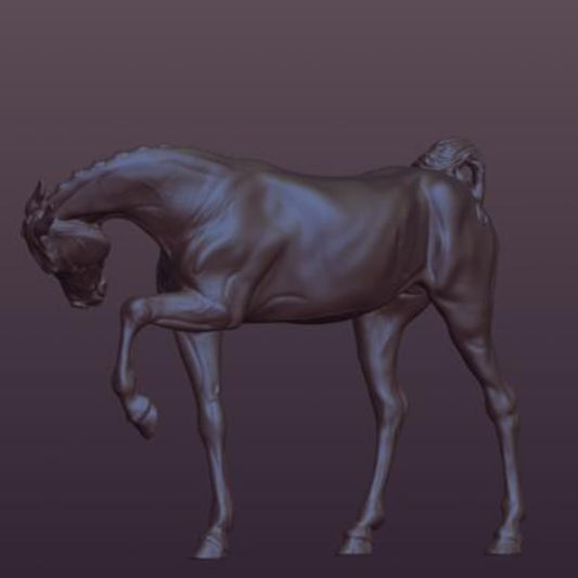 Araberstute "Diamond" von Mirek_art_models / Nur bei uns erhältlich!