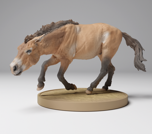Mongolian wild horse from Animal den miniatures