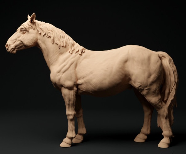 Konik horse from Animal the miniatures