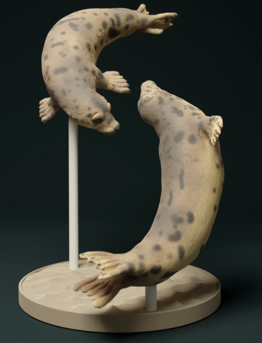 Schwimmende Robben von Animal den miniatures