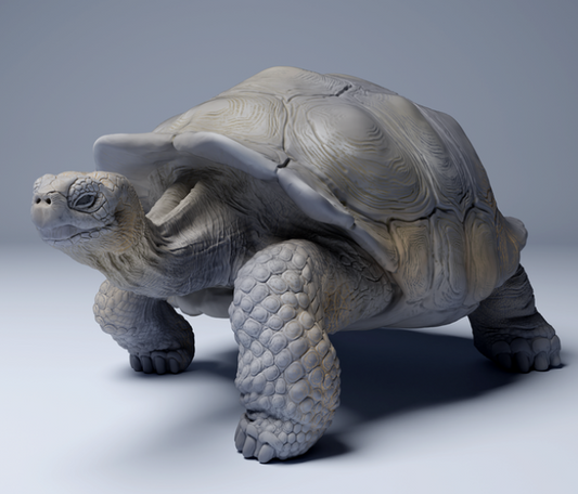 Galapagos Giant Tortoise from Animal den Miniatures