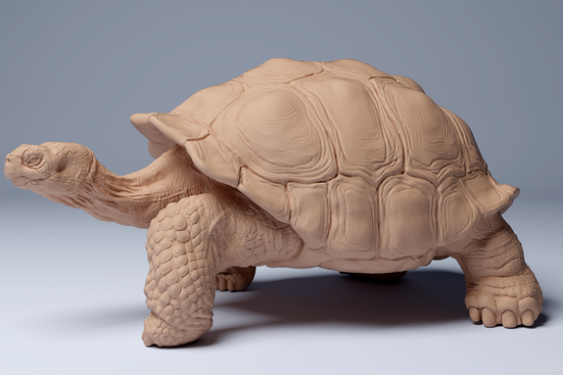 Tortue géante des Galapagos (Animal Den Miniatures)