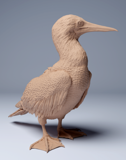 Blue-footed booby from Animal den miniatures