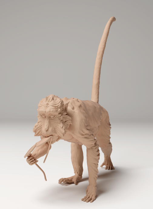 Un singe vole des lunettes à Animal les miniatures