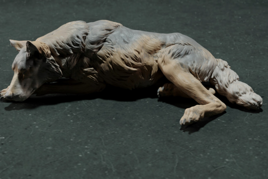 Schlafender Iberischer Wolf von Animal den miniatures