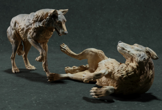 Playing Iberian Wolves by Animal den miniatures