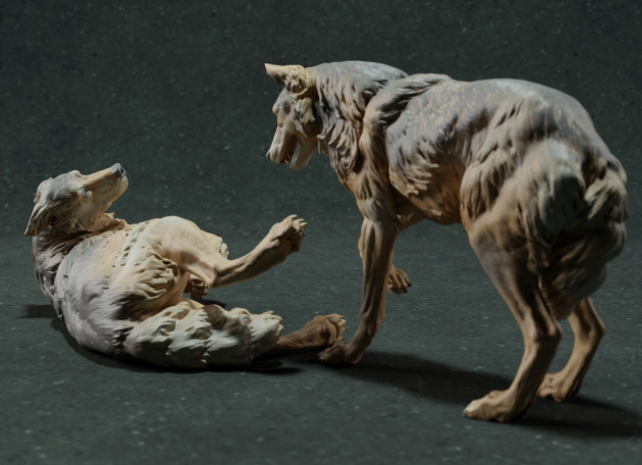 Spielende Iberische Wölfe von Animal den miniatures