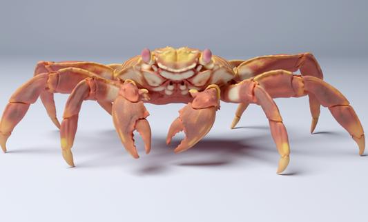 Red Rock Crab by Animal den Miniatures