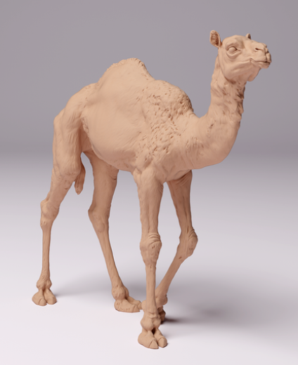 Dromedarkalb von Animal den miniatures