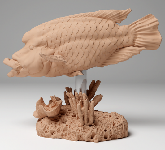 Napoleon-Lippfisch mit offenem Mund von Animal den miniatures