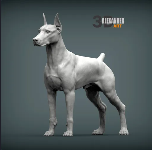 Doberman from Azukmenko