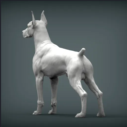 Doberman d'Azukmenko