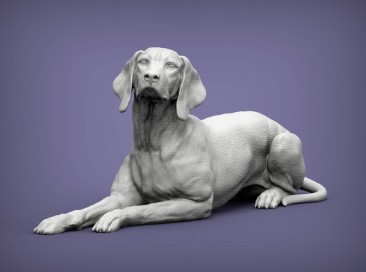 Hungarian Pointer by Azukmenko