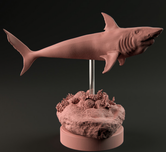 Helicoprion by Dion and Dog