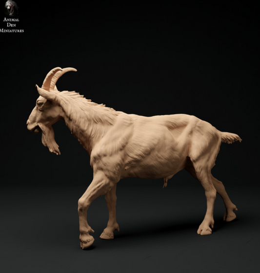 Ziegenbock Nr.1 von Animal den miniatures
