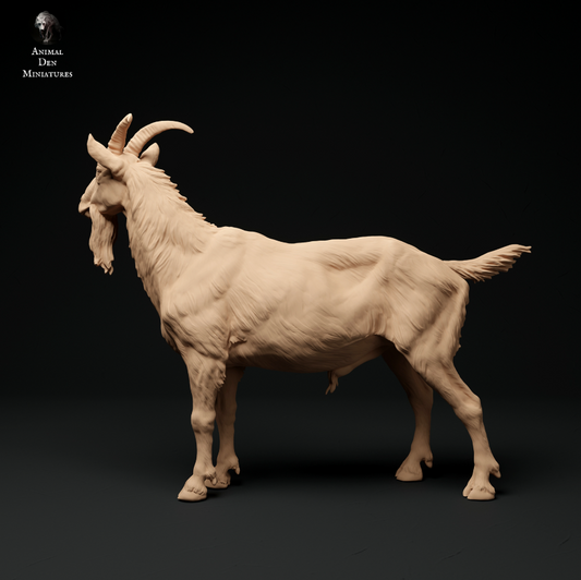 Ziegenbock Nr.2 von Animal den miniatures