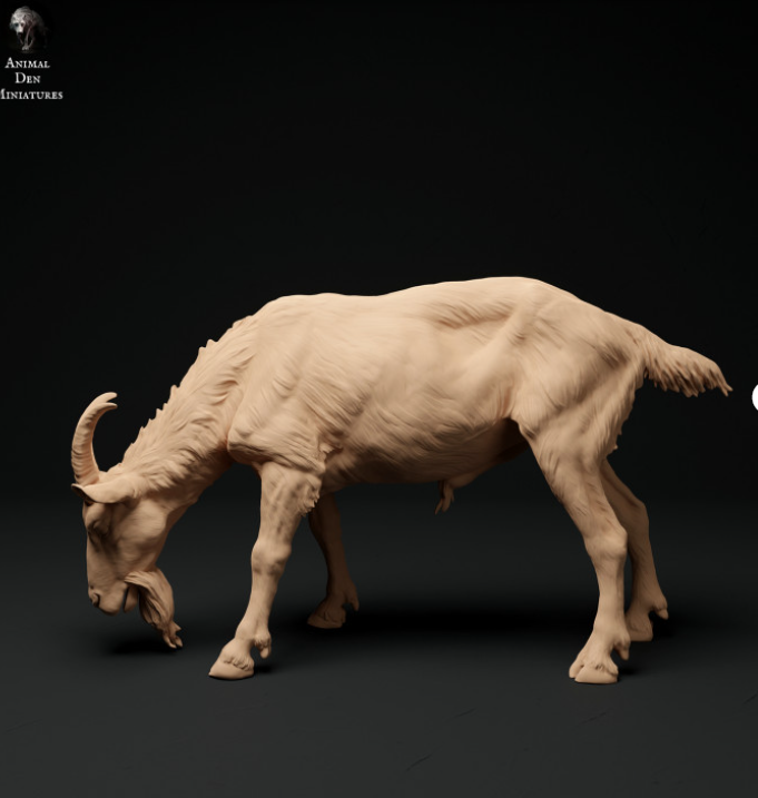 Ziegenbock NR.3 von Animal den miniatures