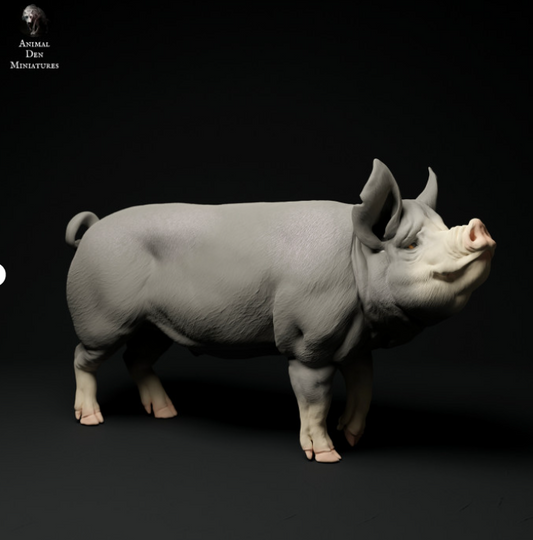 Bershire Pig No.4 by Animal den miniatures