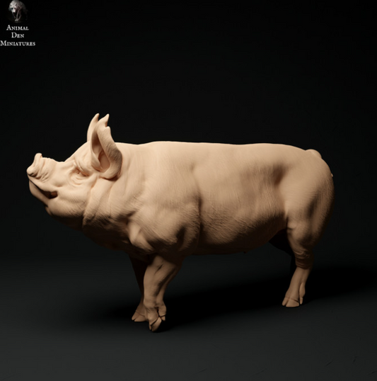 Bershire Pig No.4 by Animal den miniatures