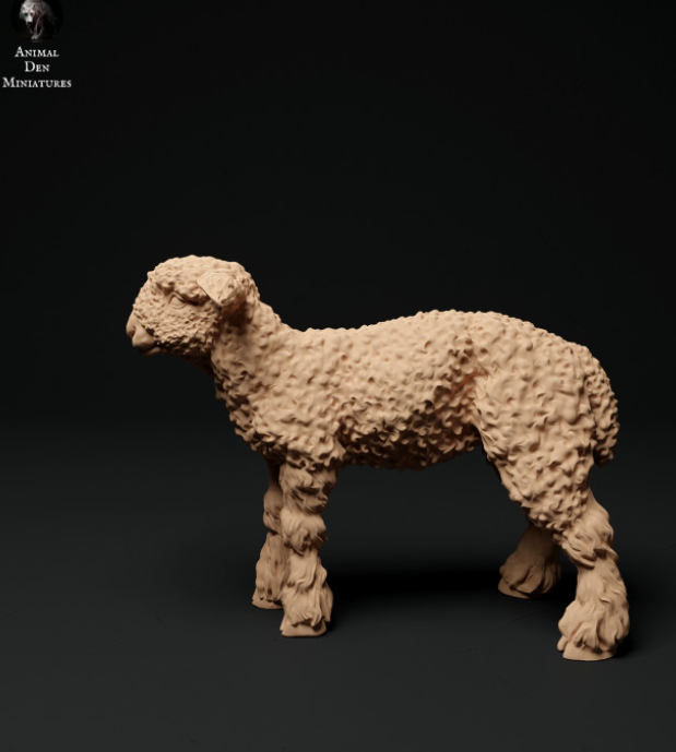 Devon und Cornwell Langwoll Lamm Nr.1 von Animal den miniatures