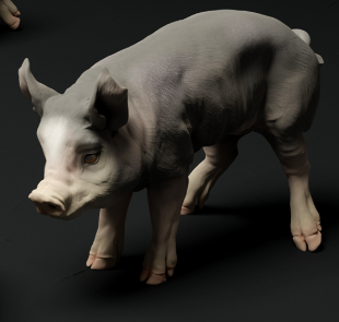 Bershire Piglet No. 2 from Animal den miniatures