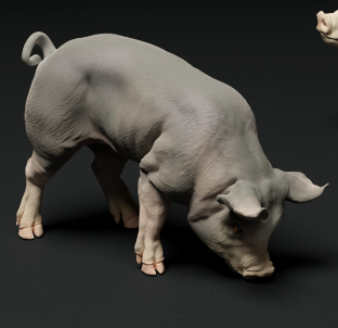 Bershire Piglet No. 4 from Animal den miniatures