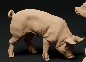 Bershire Piglet No. 4 from Animal den miniatures