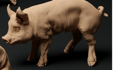 Bershire Piglet No. 2 from Animal den miniatures