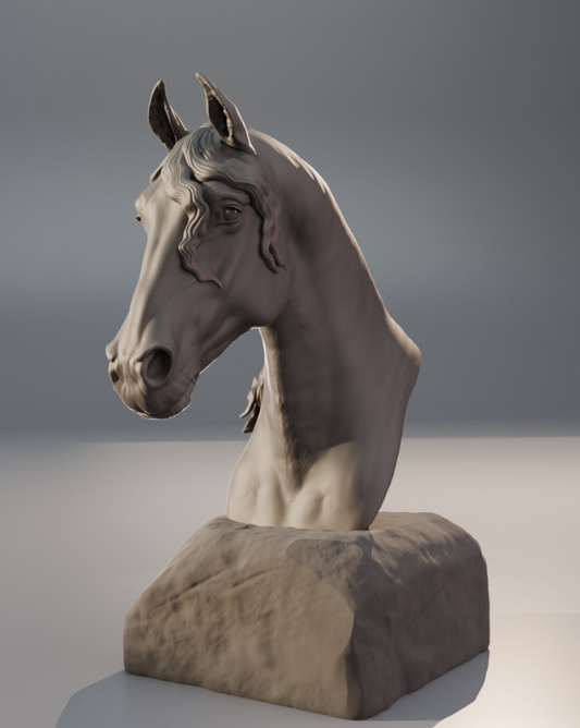 Tête frisonne - Buste par Bexbee Studios