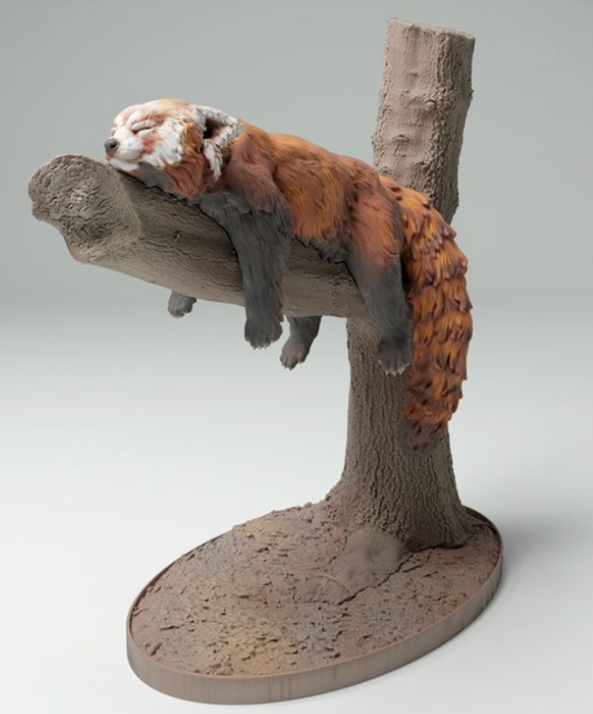 Sleeping Red Panda by Animal den miniatures as 3D print