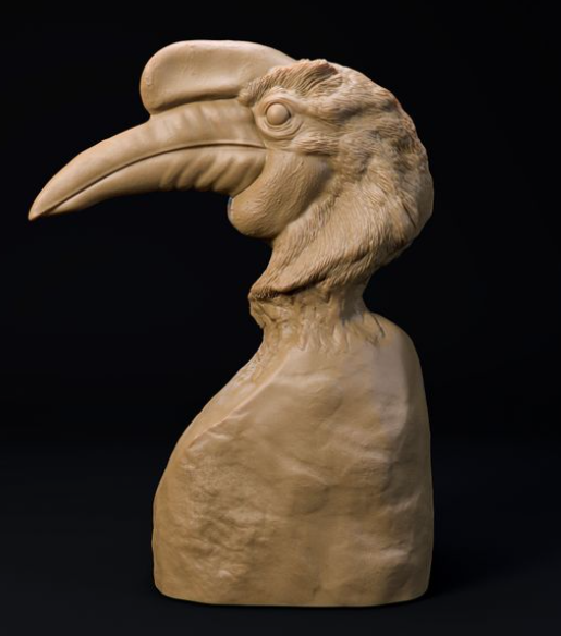 Hornbill bust by Dino and Dog as 3D print