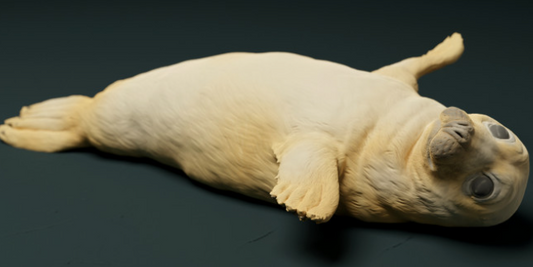 Seal stretching out fins from Animal the miniatures