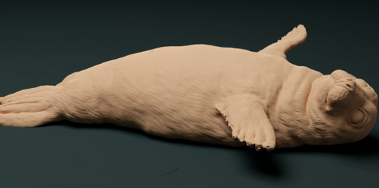 Robbe streckt Flossen aus von Animal den miniatures