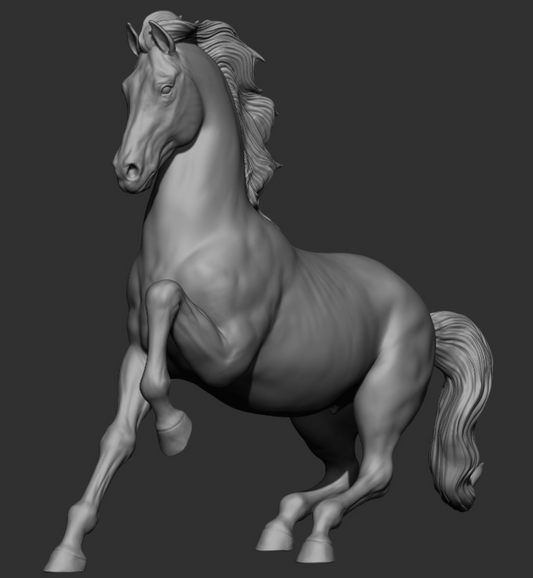 Stallion "Clyde" in Rodeo Position