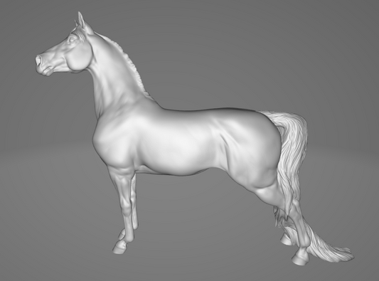 Arabian "Morgan" by PrintedPonies as 3D print