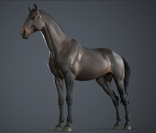 Warmblood stallion in T-pose by BreathTime as 3D print