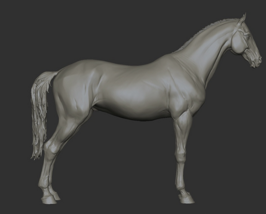 Warmblood stallion in T-pose by BreathTime as 3D print