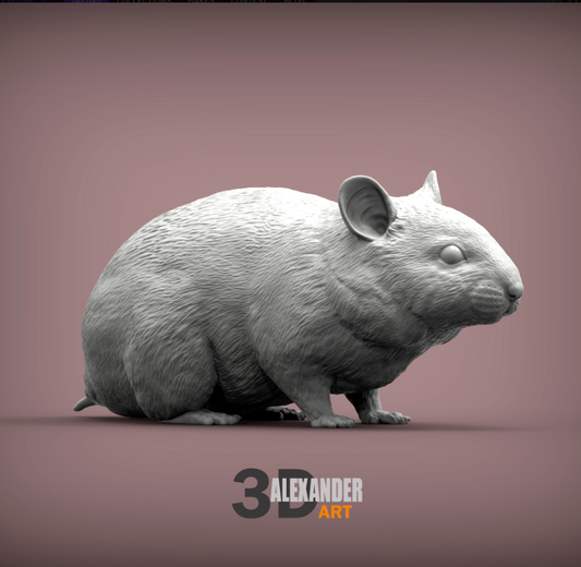 Zwerg-Hamster von Akuzmenko