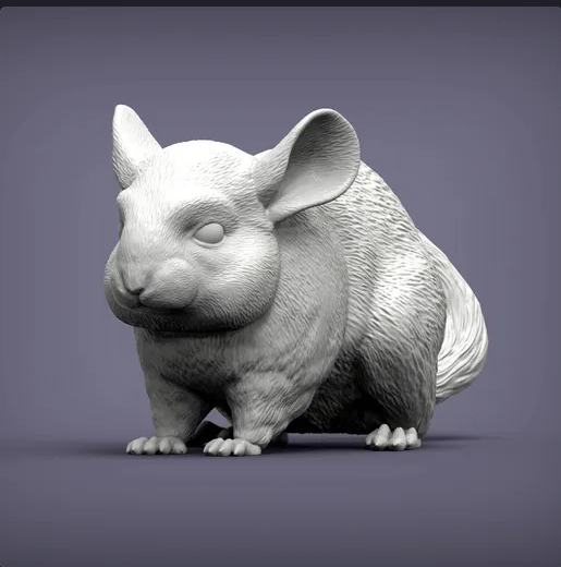Chinchilla von Akuzmenko als 3D Druck