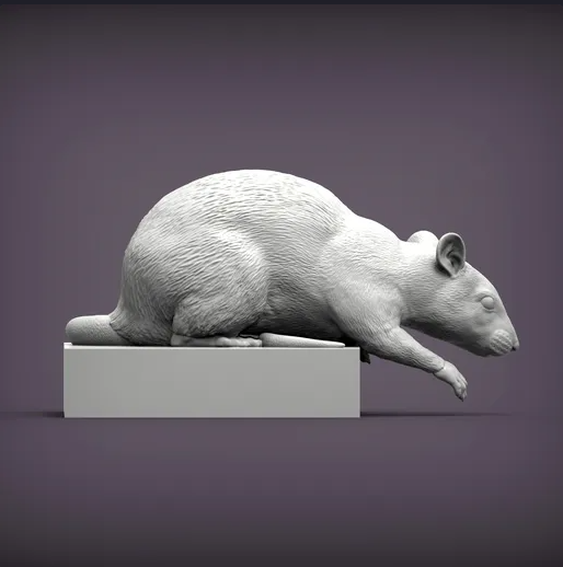 Rat is looking down by Azukmenko as 3D print