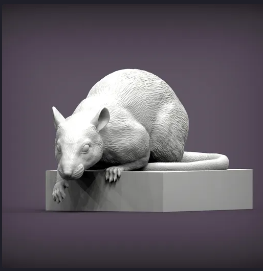 Rat is looking down by Azukmenko as 3D print