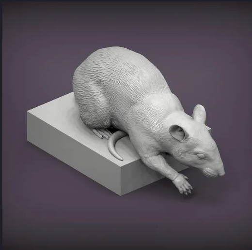 Rat is looking down by Azukmenko as 3D print
