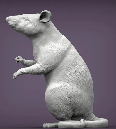 Sitzende afrikanische Riesenratte / Hamsterratte von Akuzmenko als 3D Druck