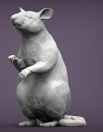 Sitzende afrikanische Riesenratte / Hamsterratte von Akuzmenko als 3D Druck
